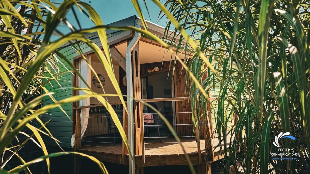 Chalet Tikaz Sandjo Noël Eksteriør billede